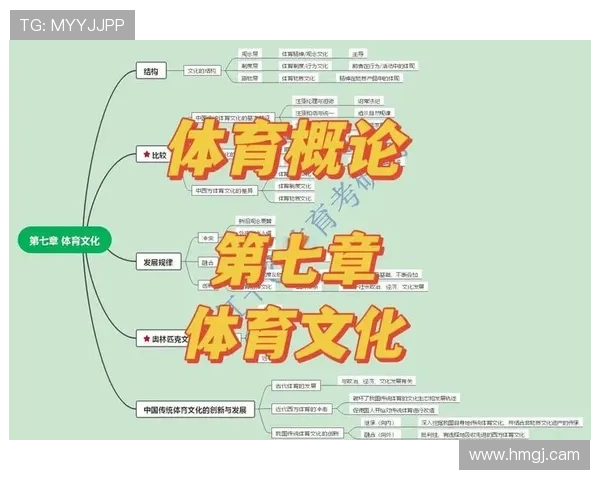 探索K1体育的世界:从基础训练到高级比赛的完整指南